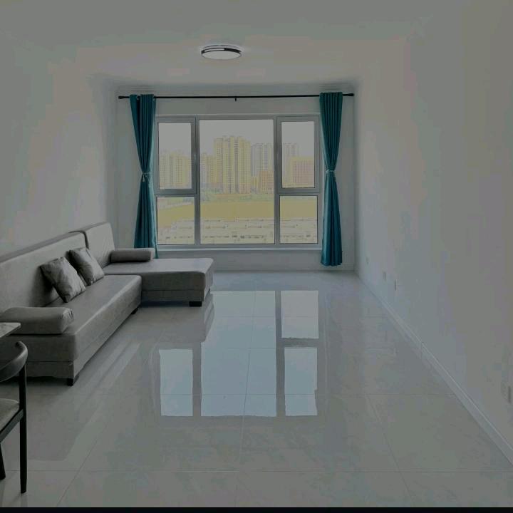 阳光下的柑橘和柠檬