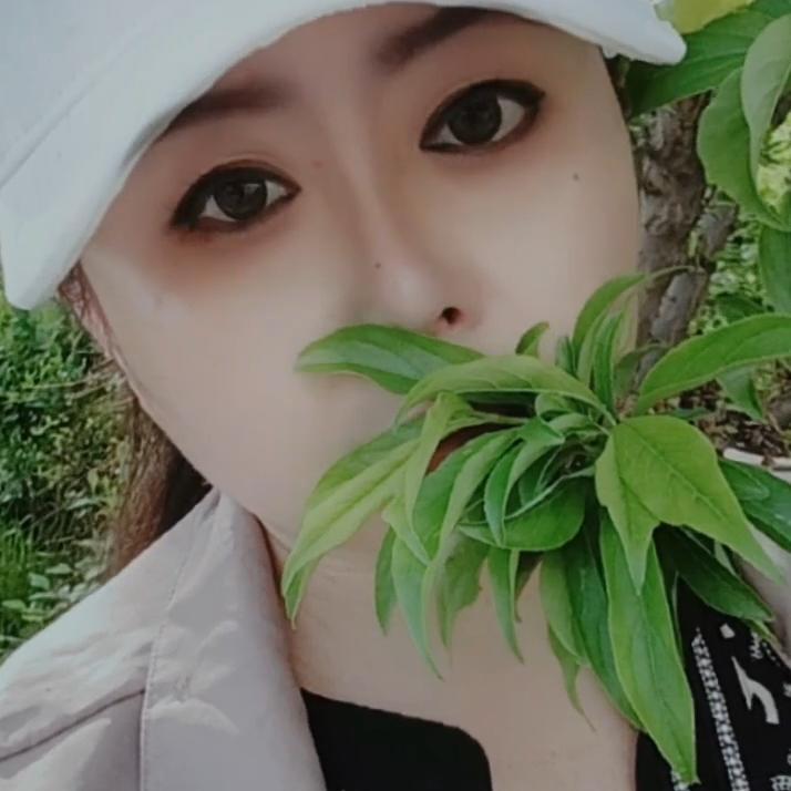 @清姐（找伴）