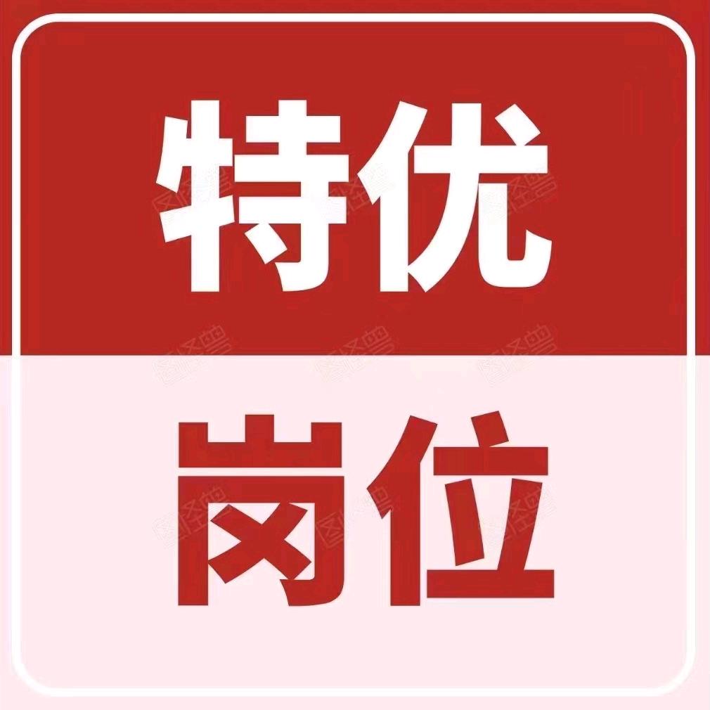 山东就业指导老师