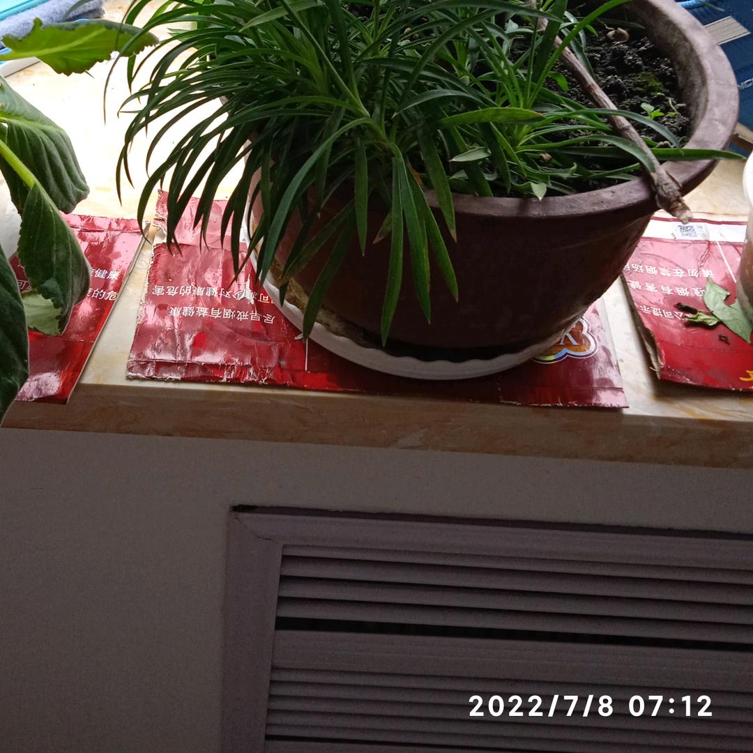 用户9117706693387