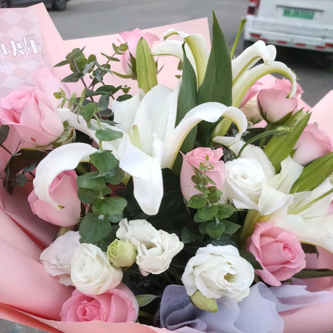 独行久了，盼同行（想要一个家）