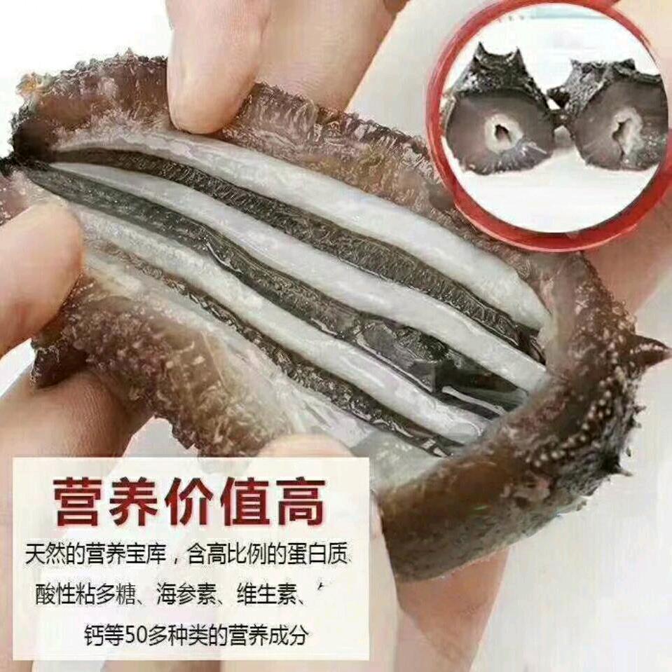 一只小小鸟