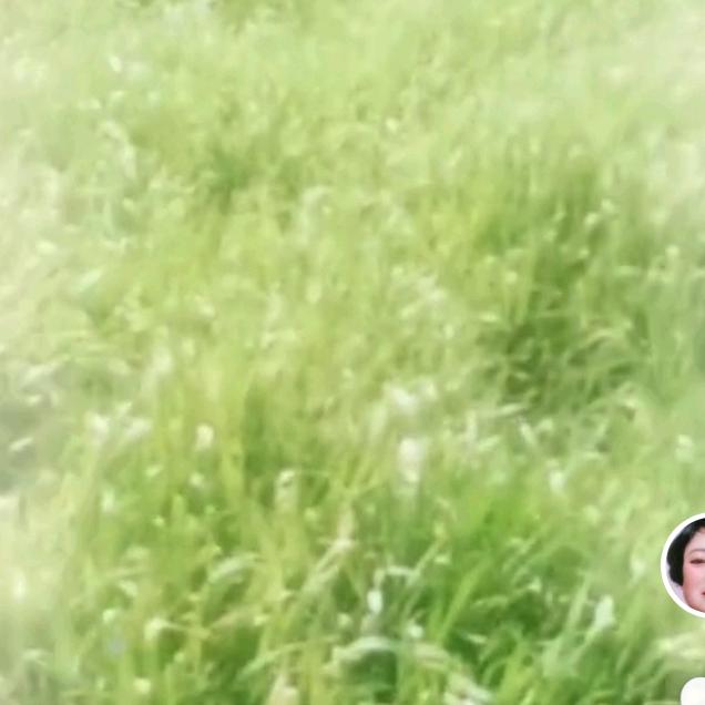 柏硕