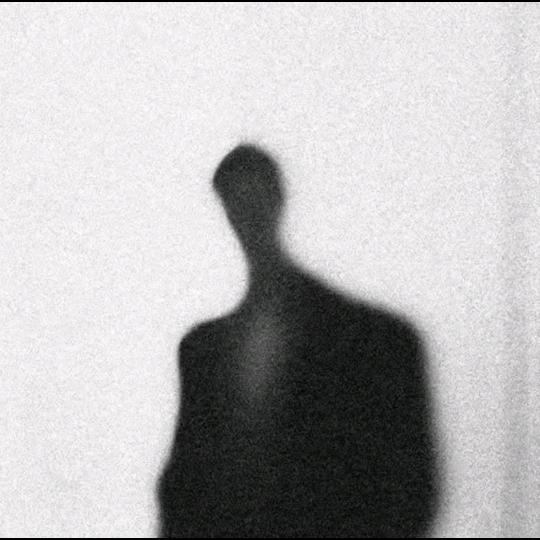 鱼虾一整碗