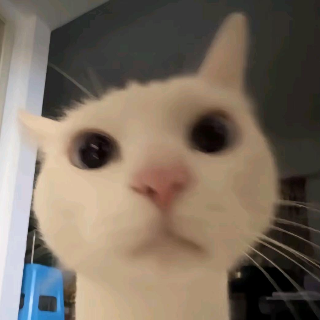 RRab1t