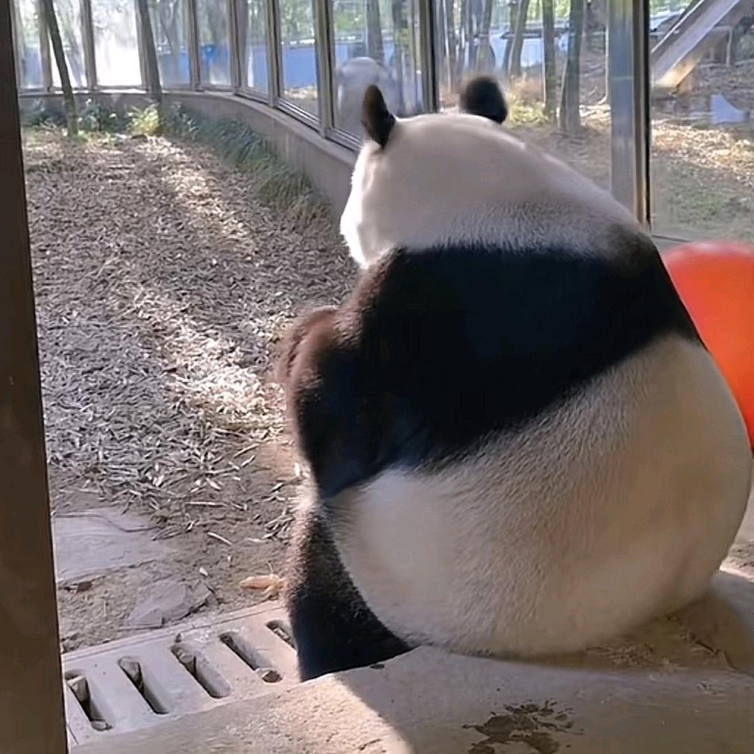小六游记