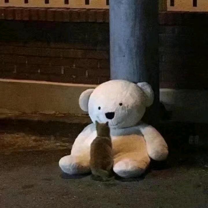 迷人的笑脸吸引视线