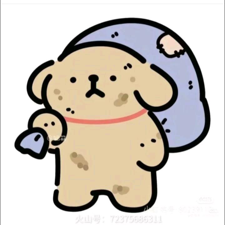 第五页的你
