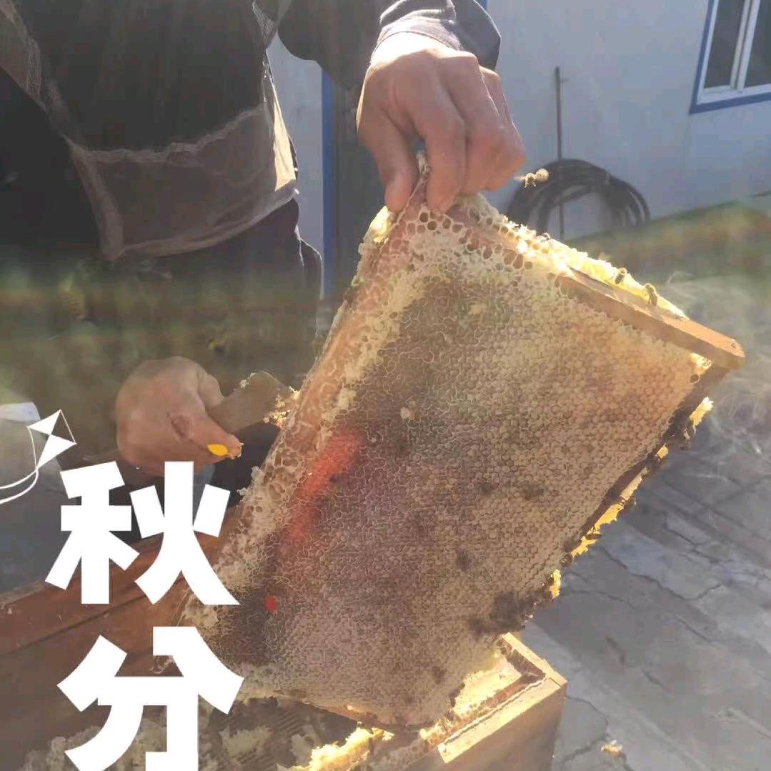 你是我🌹2025