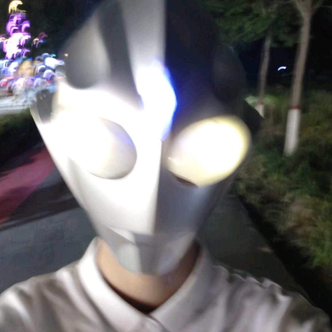 章节体