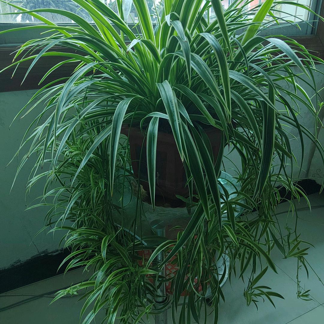 开心过好每一天