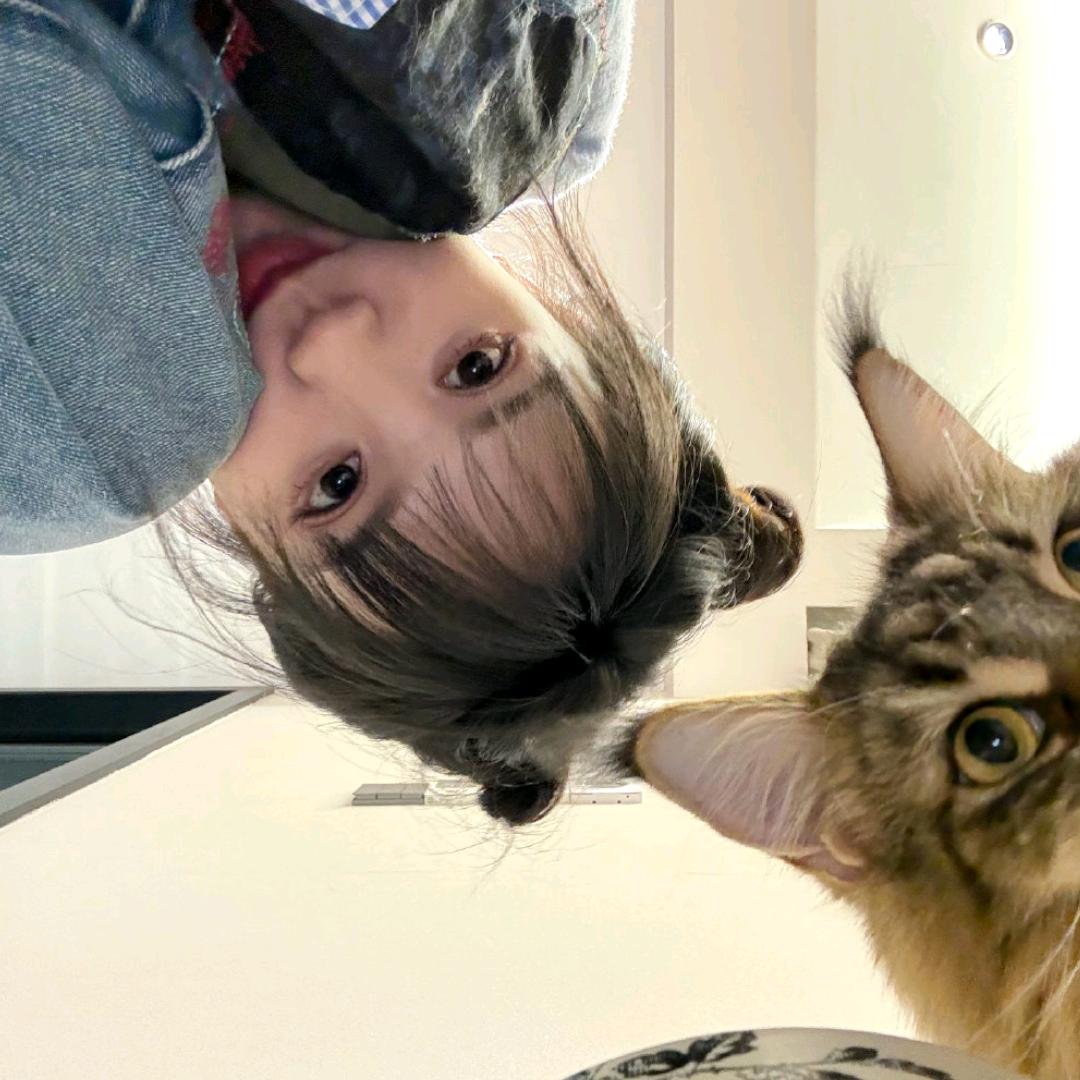 观音菩萨保佑我