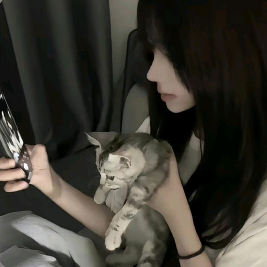 突突兔。