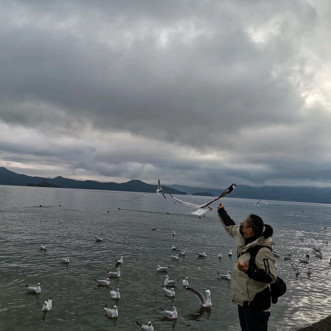 山水之间逍遥客