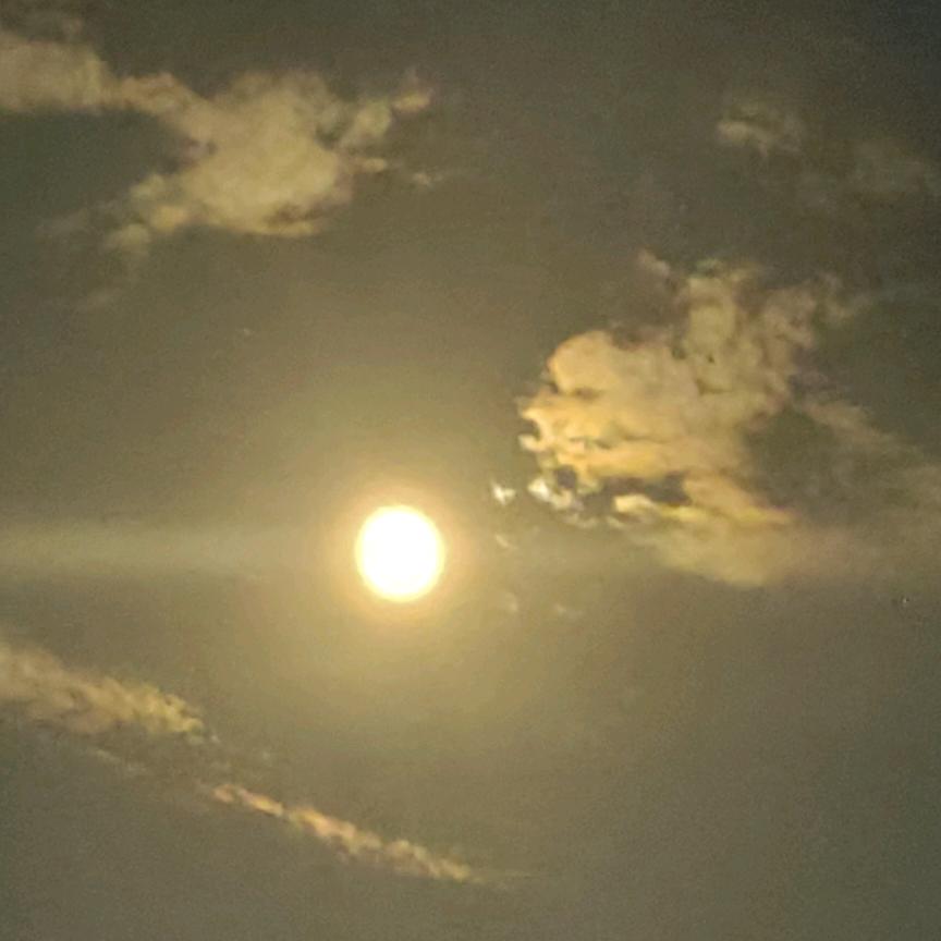梦幻馨语玥