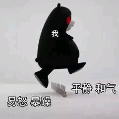 伊布 Lee.