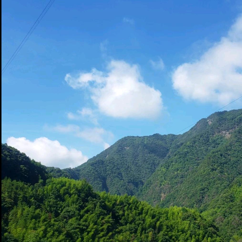 🌹简单💓是福