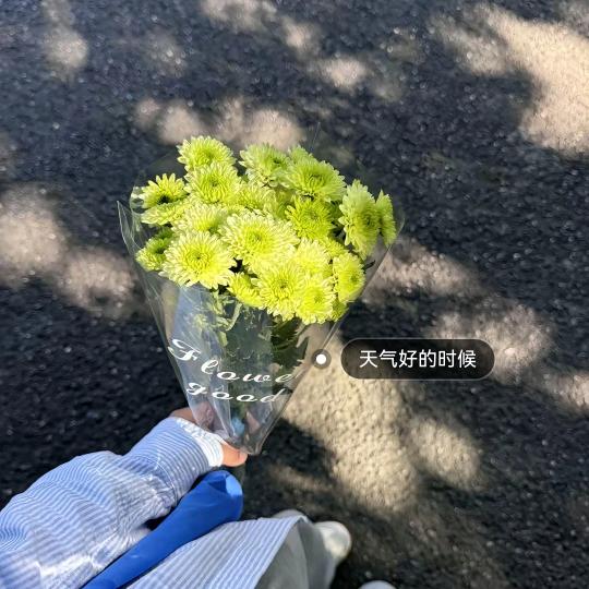 凡凡爱生活