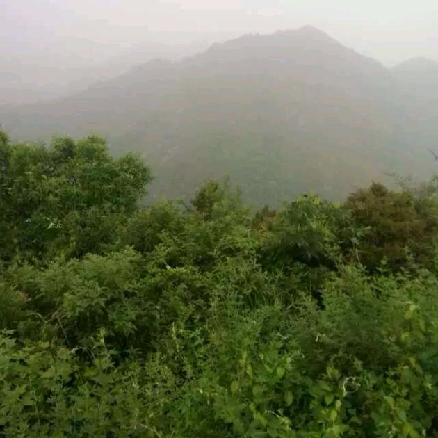 忘不掉的你