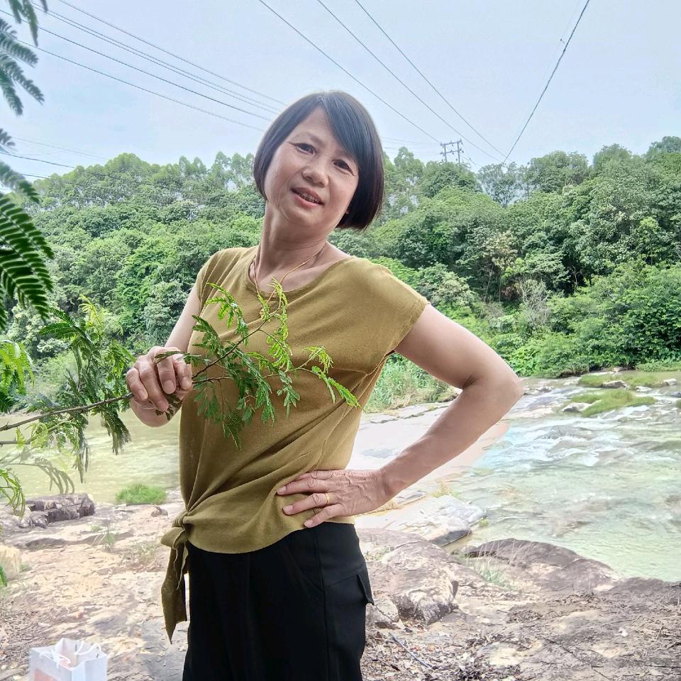 美