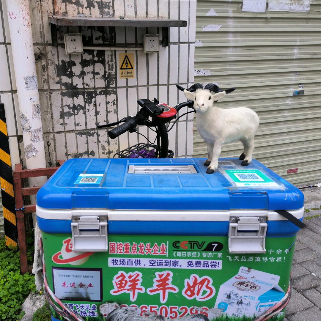 咖-宝宝肚子打雷了