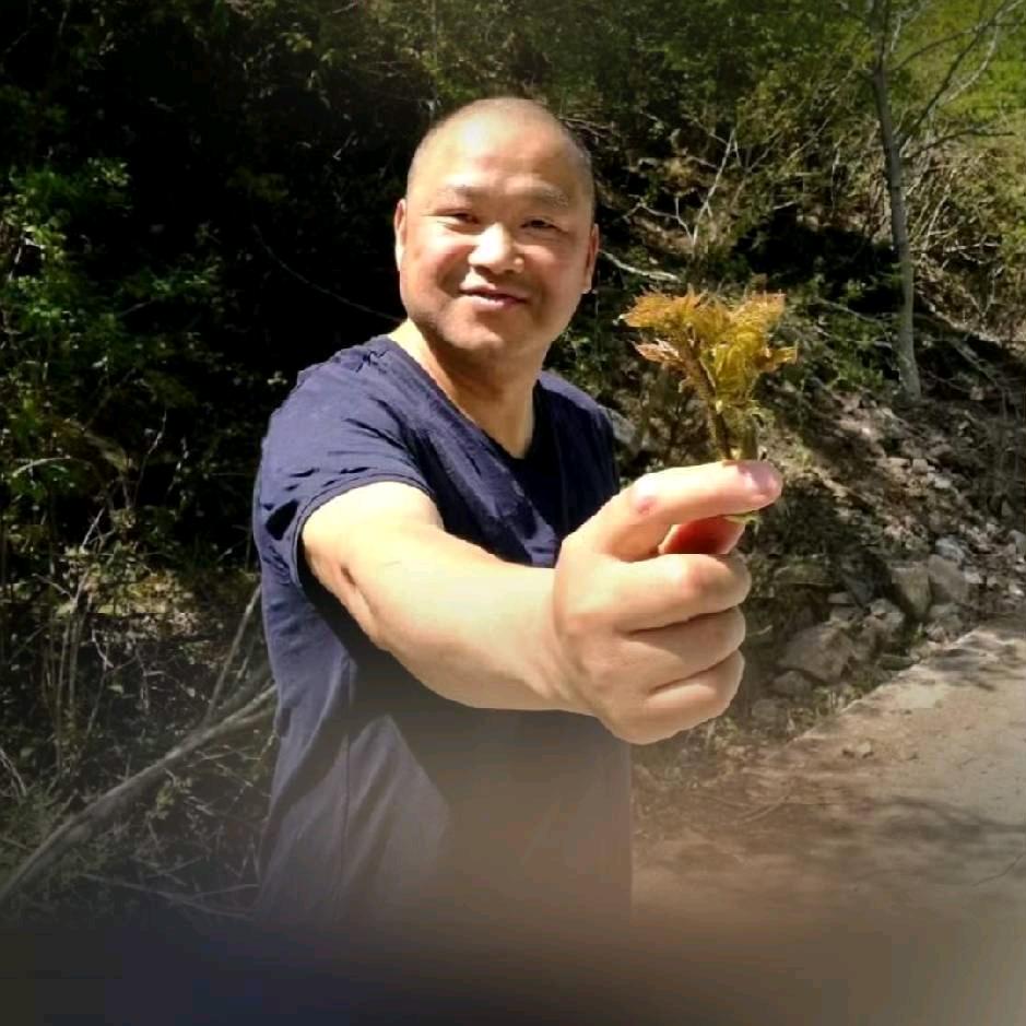 九寨沟～遂宁（客车）