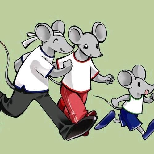 （除虫灭鼠）邯郸市邯山区高越有害生物防治