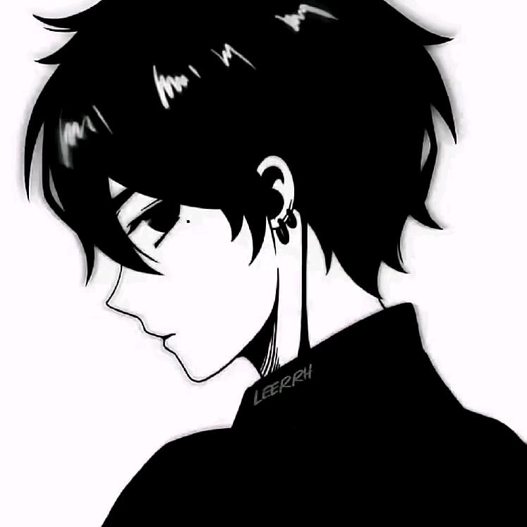 屿