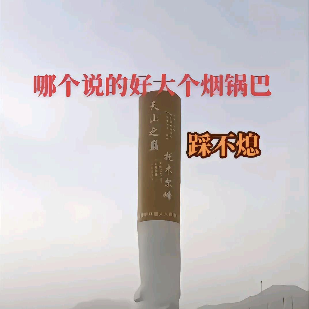 半花甲老者儿