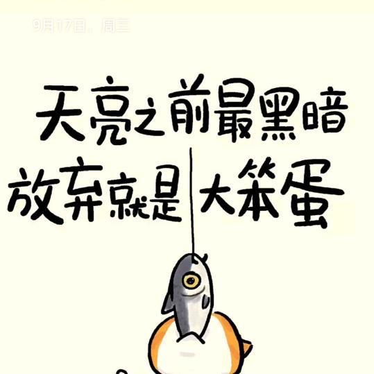 ❤️安儿