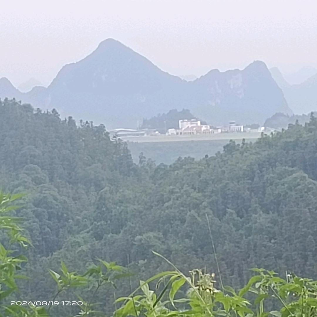 人间清醒搞钱要紧！