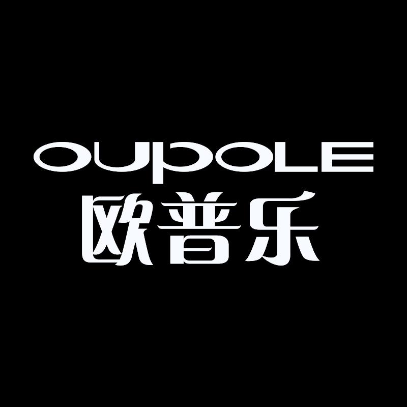 欧普乐高端大屏音响工厂店