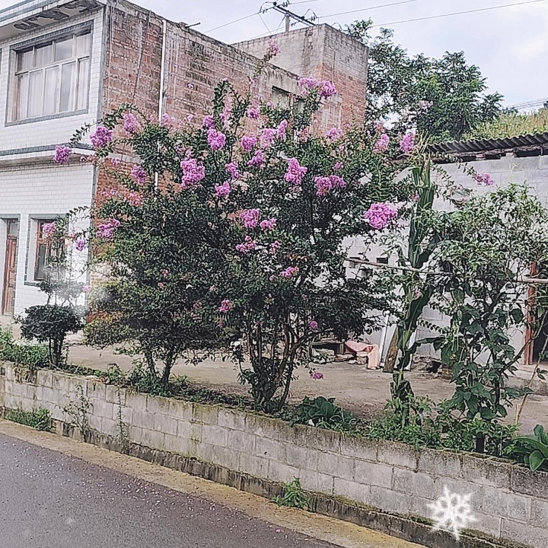 雨雪纷纷