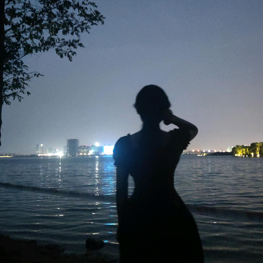 花白鲢小巷