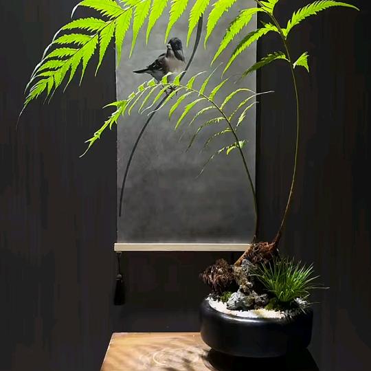 江楠花木种植基地