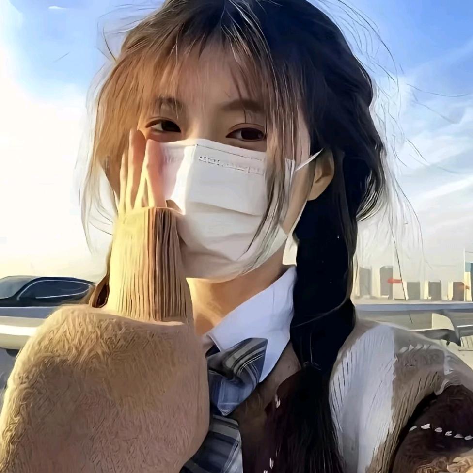 LINK风格