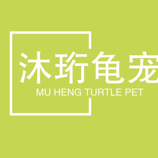 沐珩龟宠