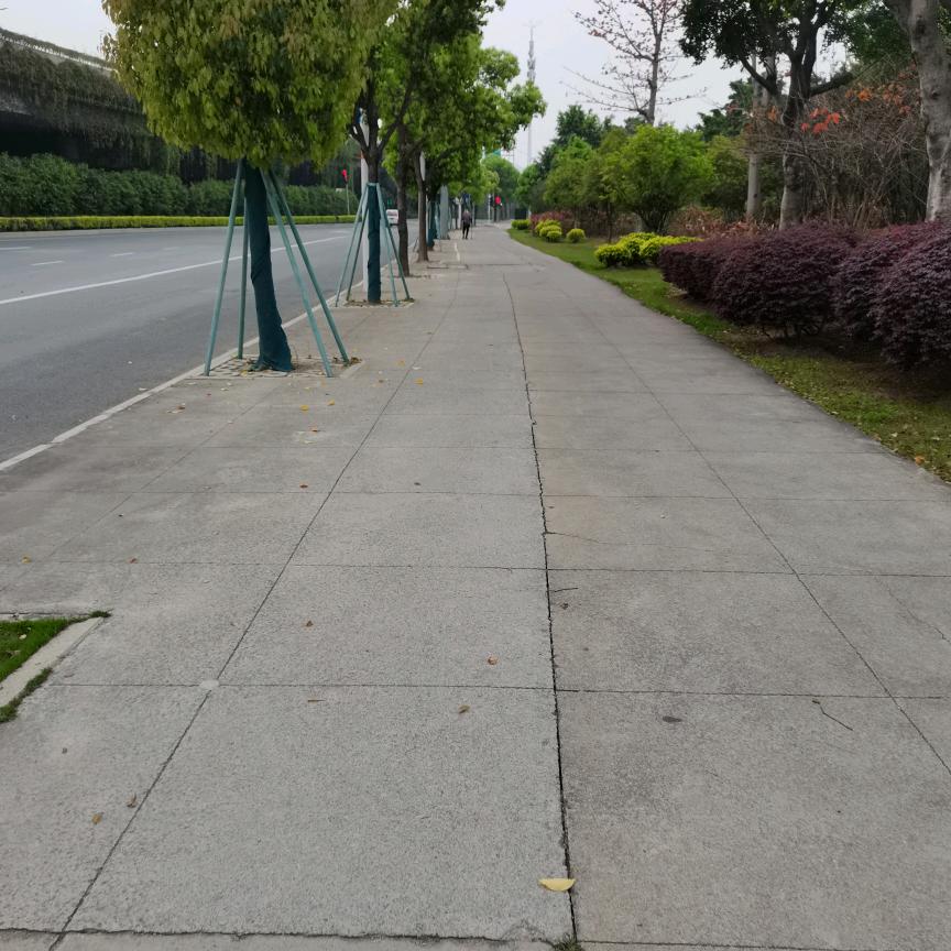 时光荏苒、梦回青春
