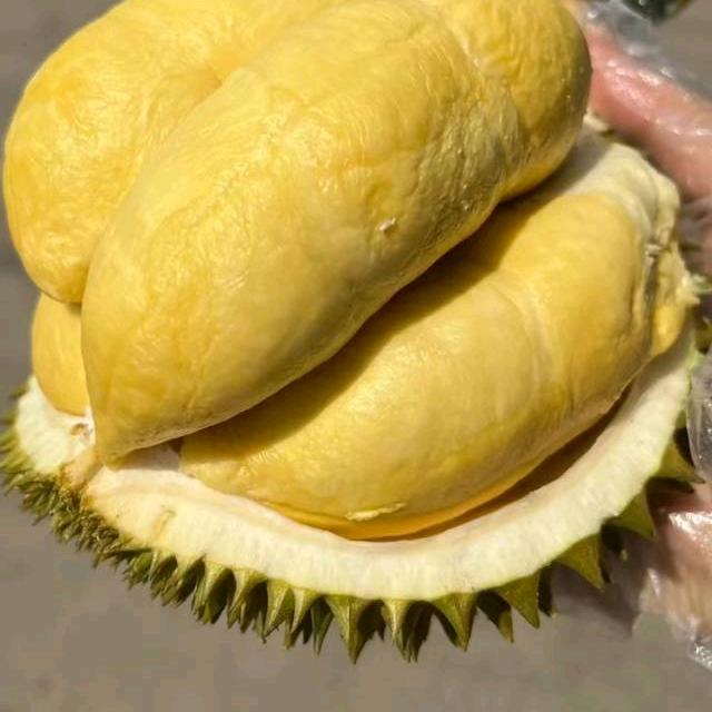 有点甜的小榴莲