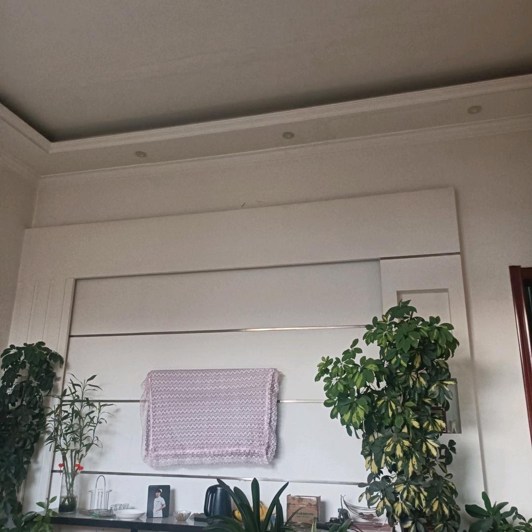 user萍水相逢