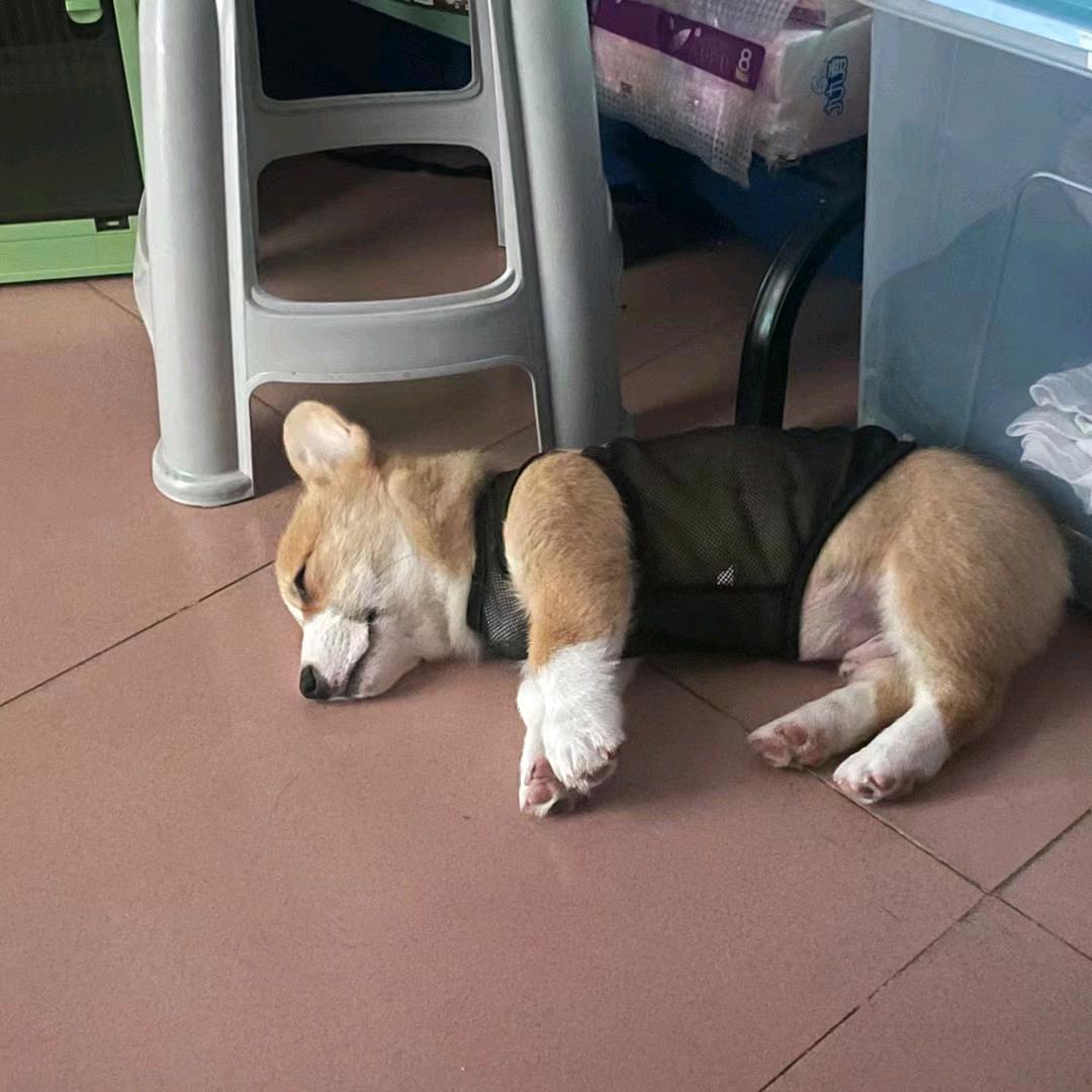 阿🎀妹🧏🏻‍♀️