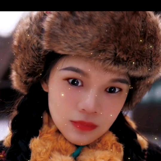 凤梨子