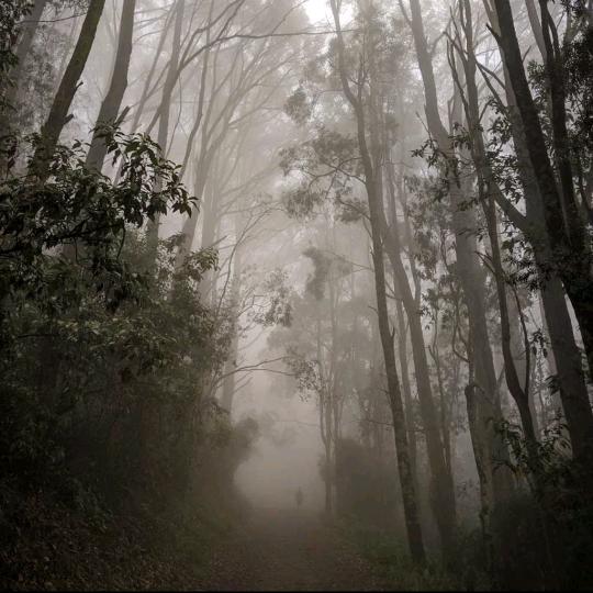 海瑞爱看拖拉机、