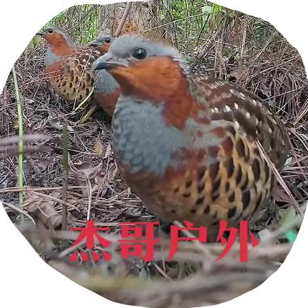杰哥户外