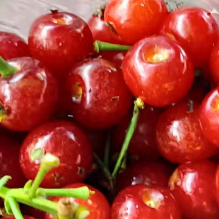 福佑健康，开心万岁