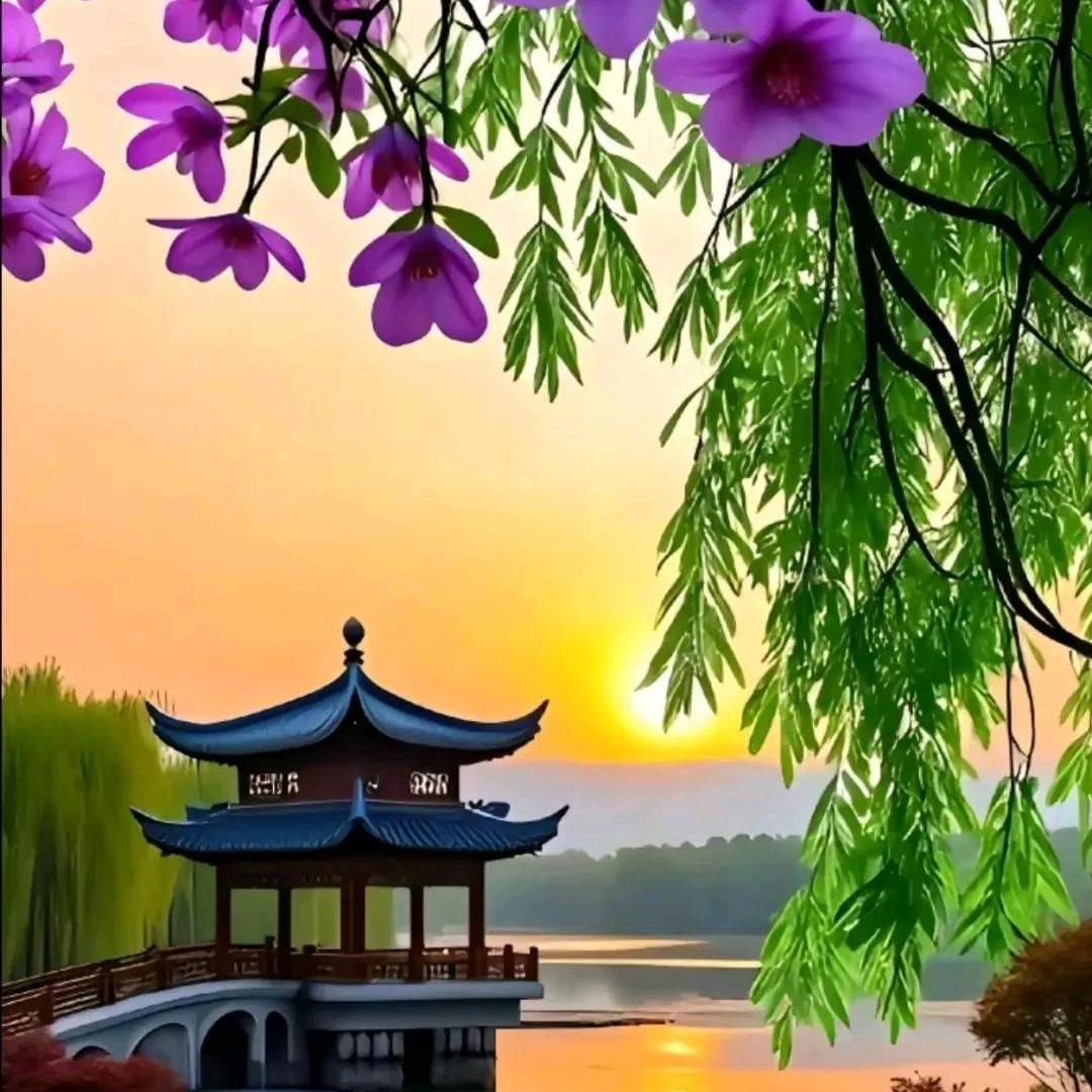 夕阳红