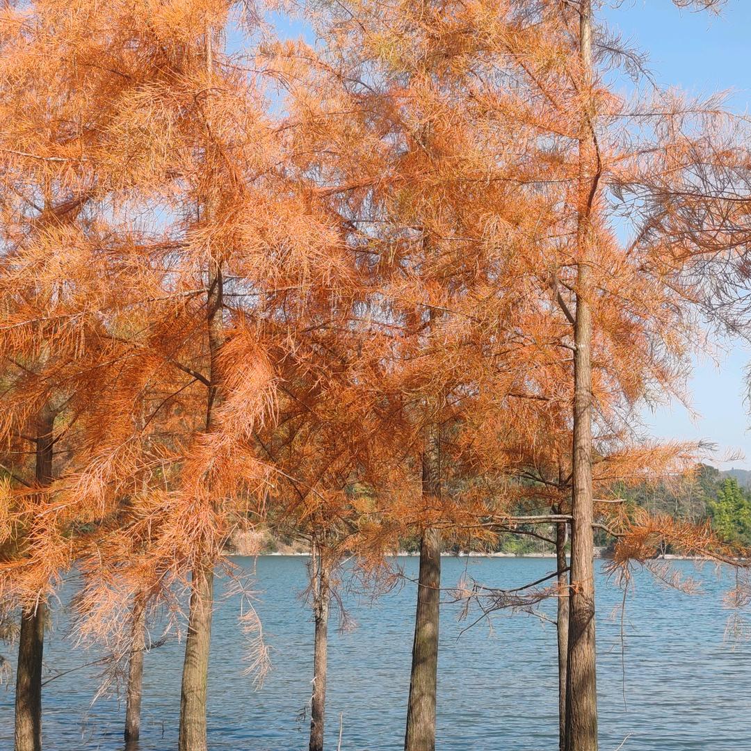 退后一步，海阔天空