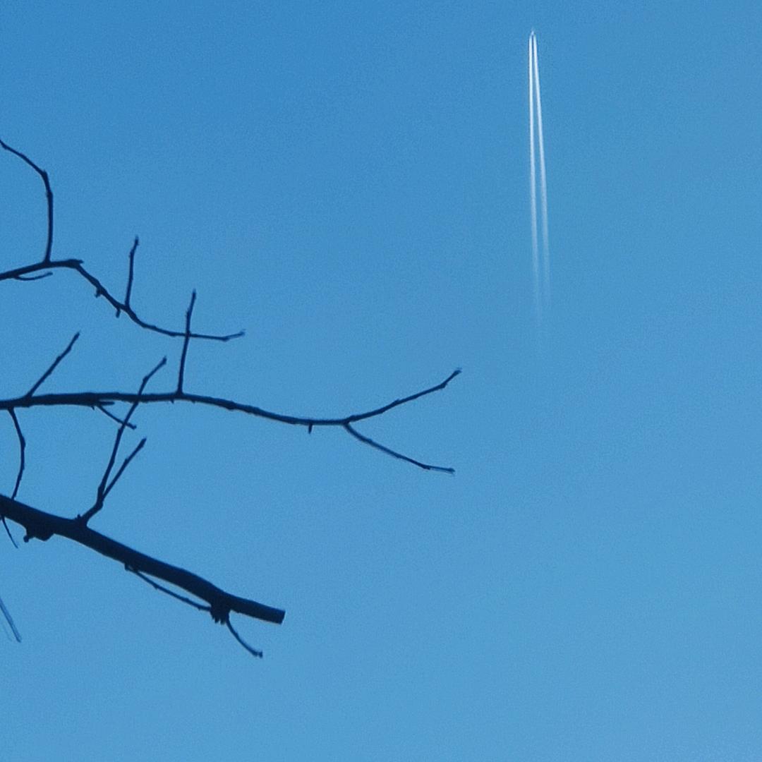 恒利老榆木
