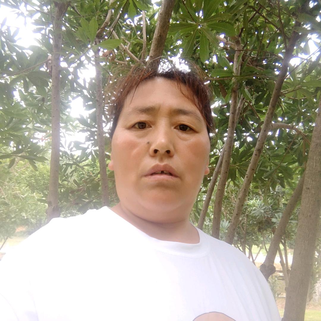 苹果
