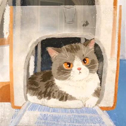 坨坨酱的成长史